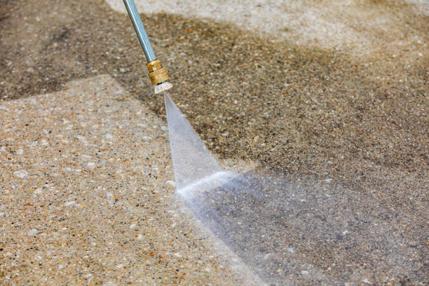 Best Pre-Holiday Cleaning  in Conesus Lake, NY