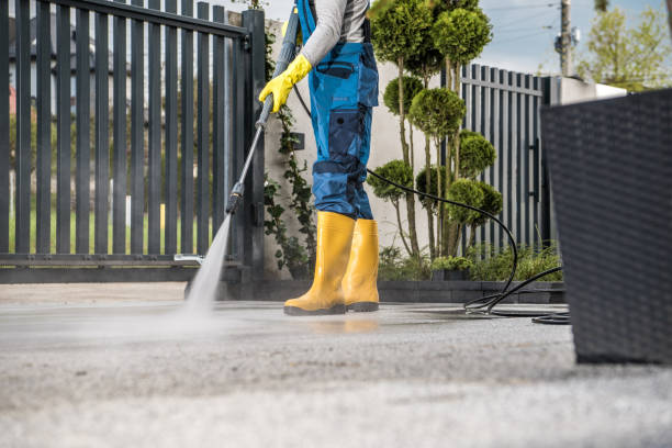 Best Gutter Cleaning  in Conesus Lake, NY